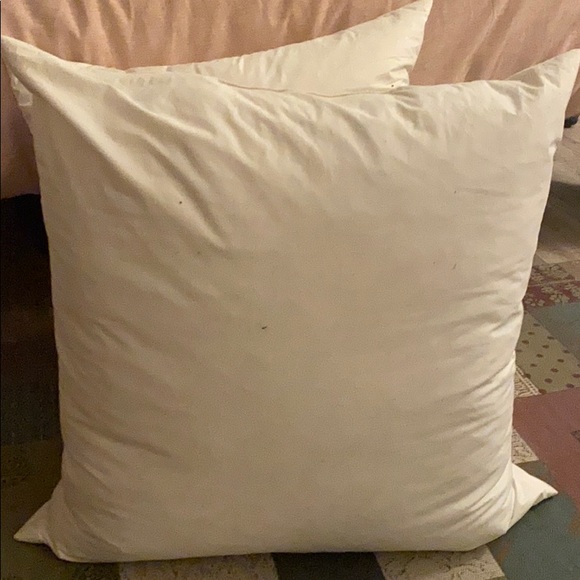 Pillow inserts - Picture 3 of 3